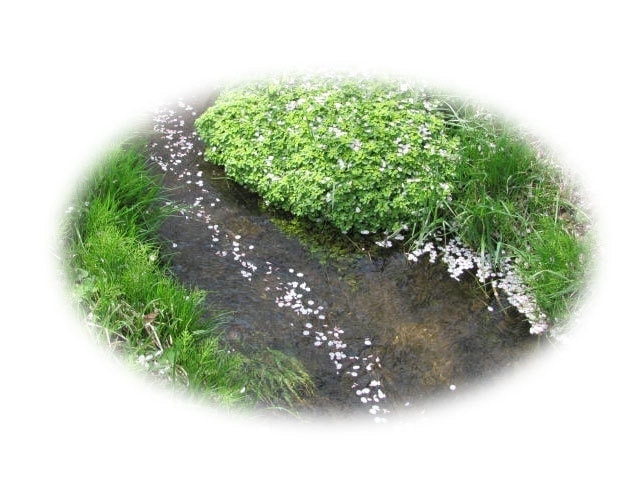 Photoshopでのマスク処理
