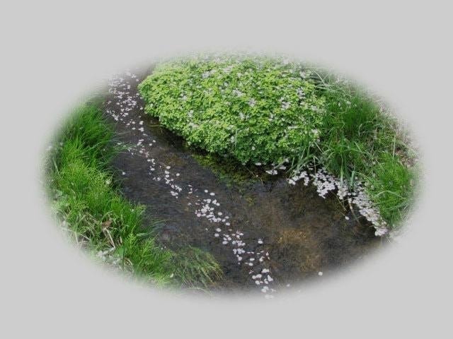 Photoshopでのマスク処理